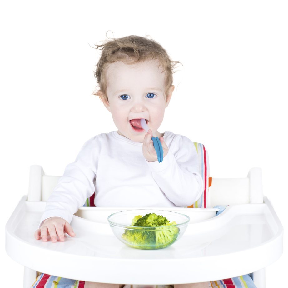 meal time, diet, toddlers, toddler food, toddler meal time, recommended diet toddlers, picky eater, toddler health, refusal of food, toddlers
