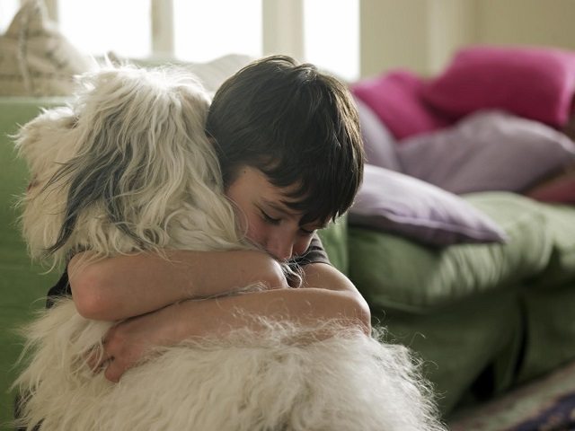 dogs, dogs reduce child anxiety, anxiety and dogs, childhood anxiety, pet dogs, study shows children confide in pets over parents, children and their pets