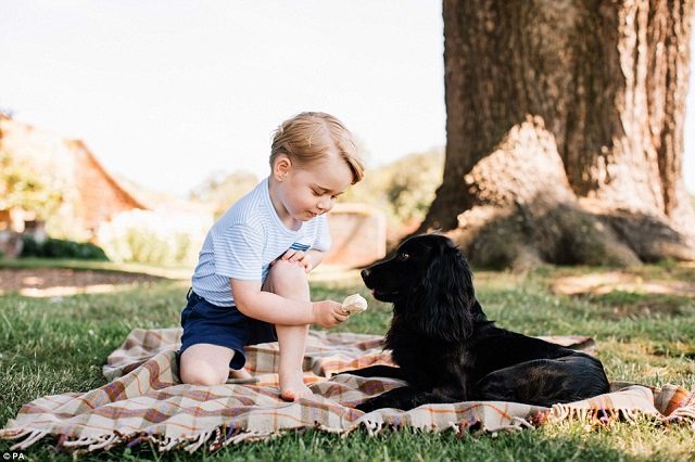 dutch and duchess of cambridge, kate middleton, prince william, princess charlotte, prince george, third in line to the throne, prince george pictures, prince george birthday